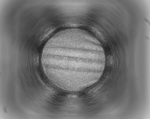 X0000096420358200802071708