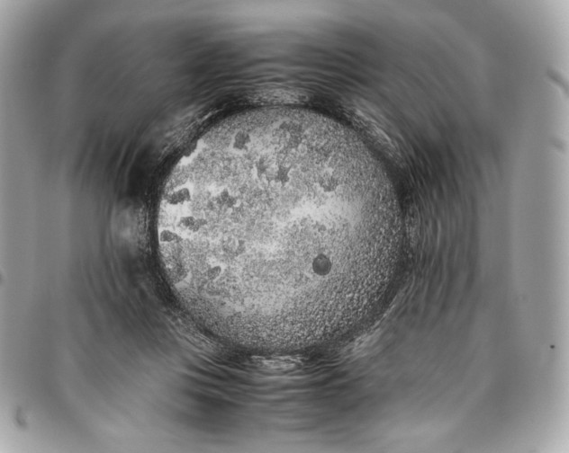 X0000096420359200802071708