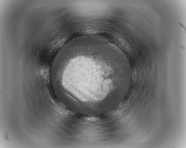 X0000096420360200802071708