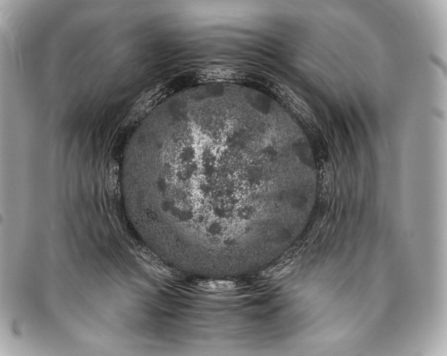 X0000096420361200802071708