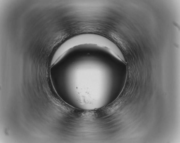 X0000096420362200802071708