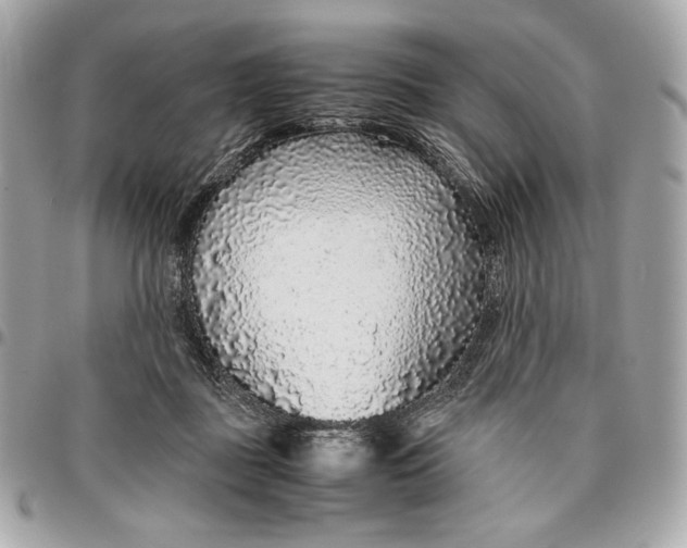 X0000096420363200802071708