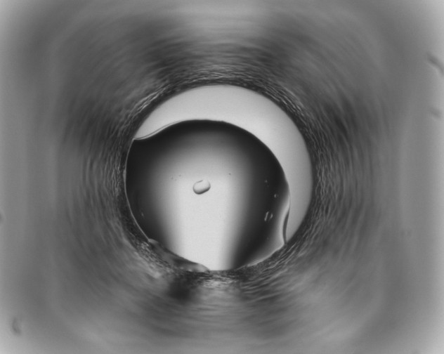 X0000096420364200802071708