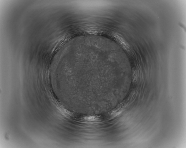 X0000096420365200802071708