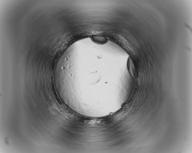 X0000096420366200802071708