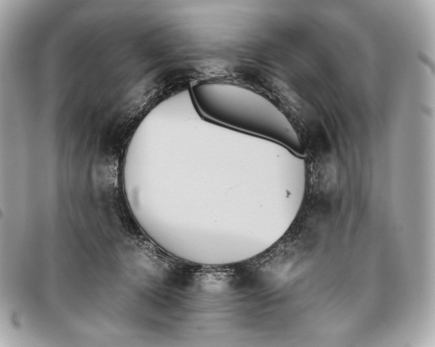 X0000096420368200802071708