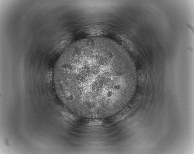 X0000096420369200802071708