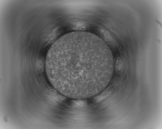 X0000096420370200802071708