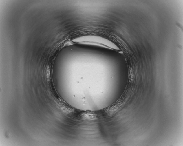 X0000096420372200802071708