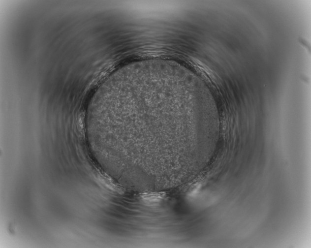 X0000096420373200802071708