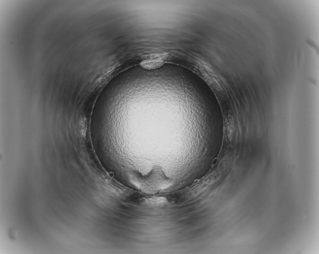 X0000096420374200802071708