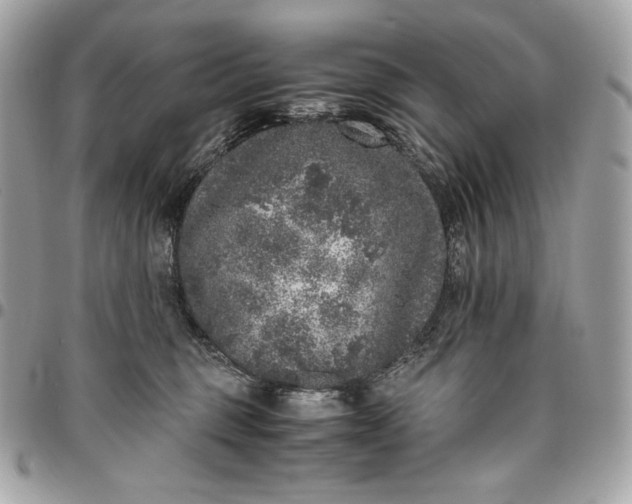 X0000096420375200802071708