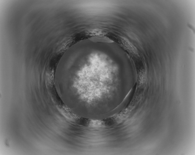 X0000096420376200802071708