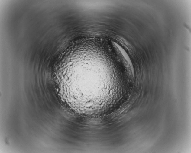 X0000096420377200802071708