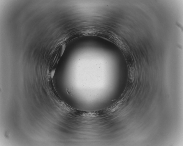 X0000096420378200802071708