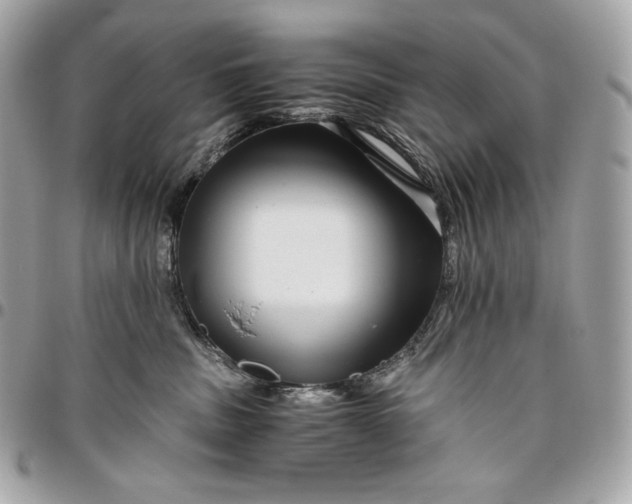 X0000096420379200802071708