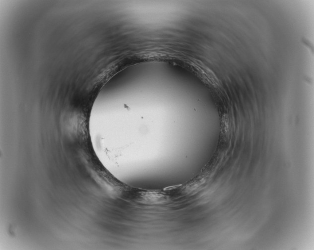 X0000096420380200802071708