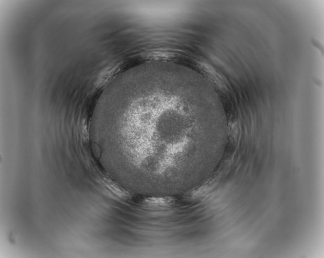 X0000096420381200802071708