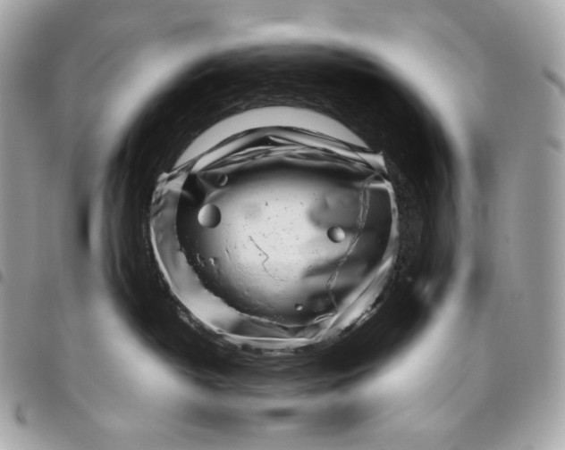 X0000096420382200802071708