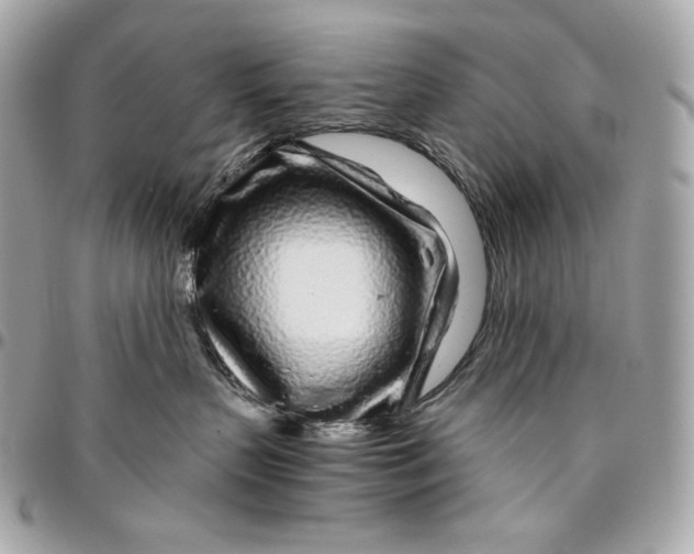 X0000096420383200802071708