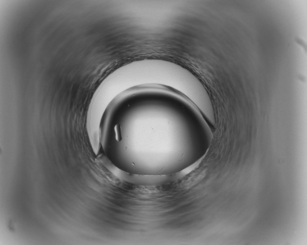 X0000096420384200802071708