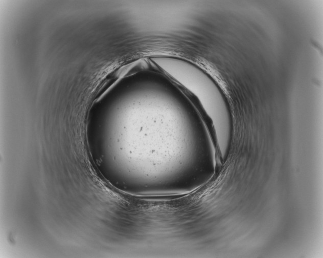 X0000096420385200802071708