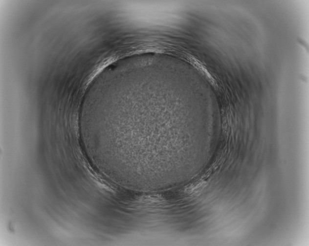 X0000096420386200802071708