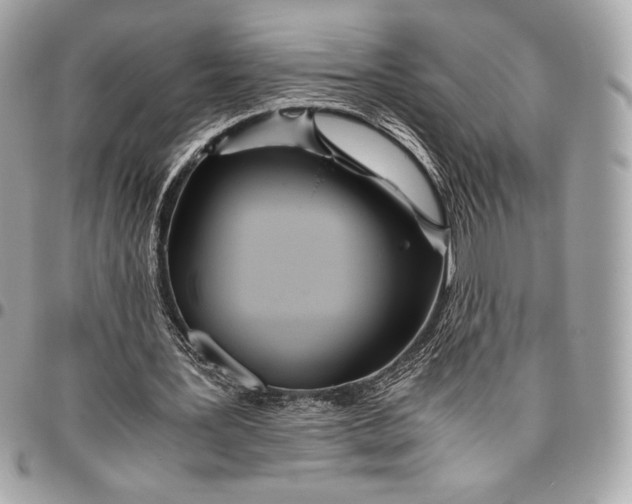 X0000096420387200802071708