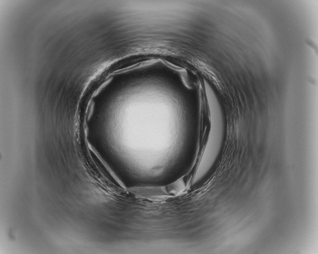 X0000096420388200802071708