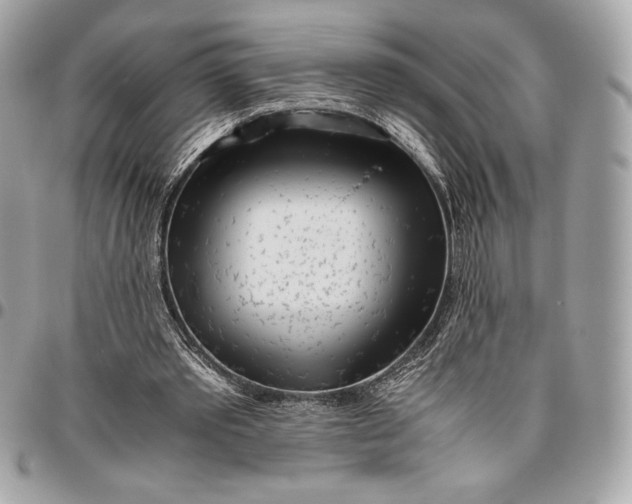 X0000096420389200802071708