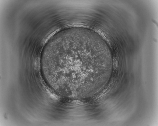 X0000096420390200802071707