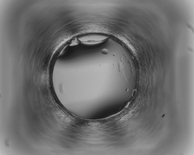 X0000096420391200802071707