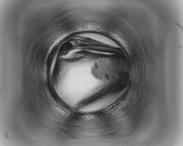 X0000096420392200802071707