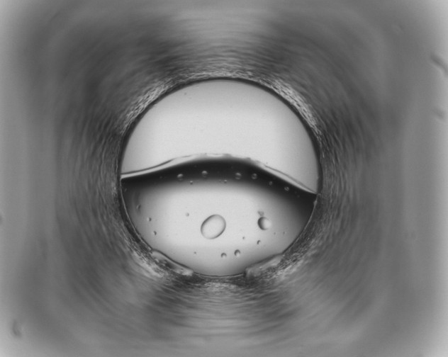 X0000096420393200802071707