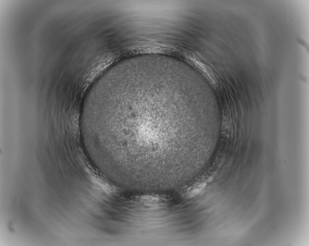 X0000096420394200802071707