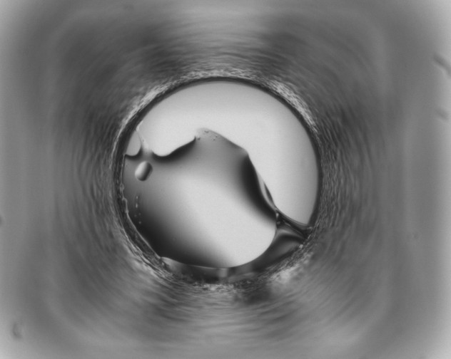 X0000096420395200802071707