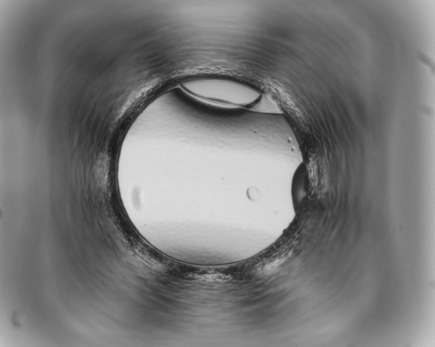 X0000096420396200802071707