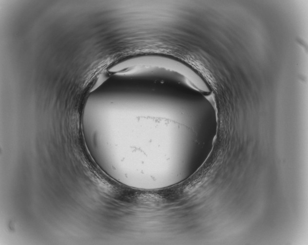 X0000096420397200802071707