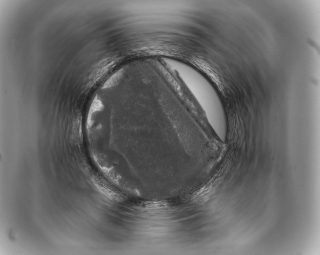 X0000096420398200802071707