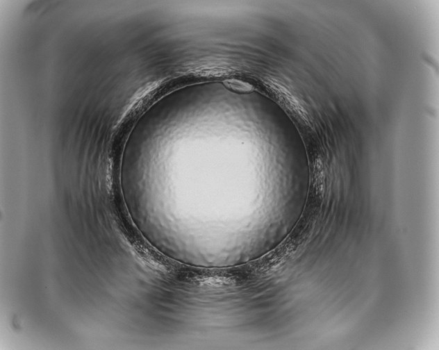 X0000096420400200802071707