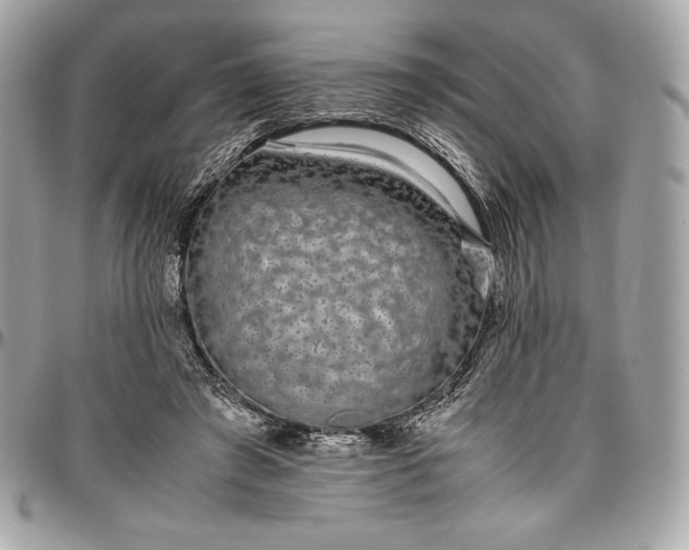 X0000096420401200802071707