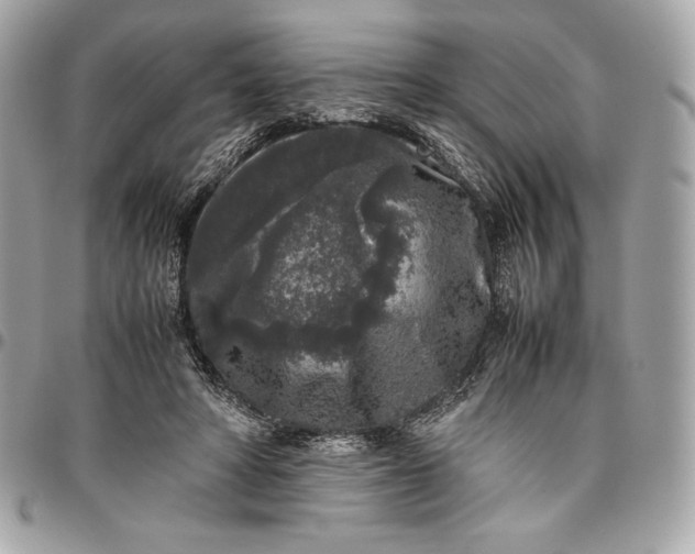 X0000096420402200802071707