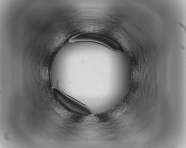 X0000096420403200802071707