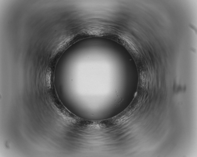 X0000096420404200802071707