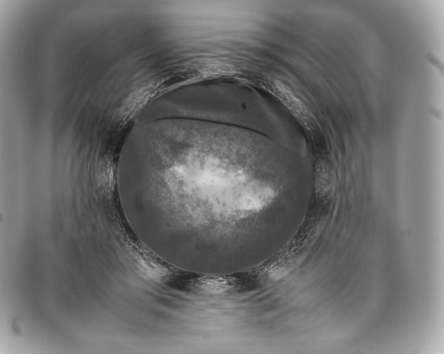 X0000096420405200802071707