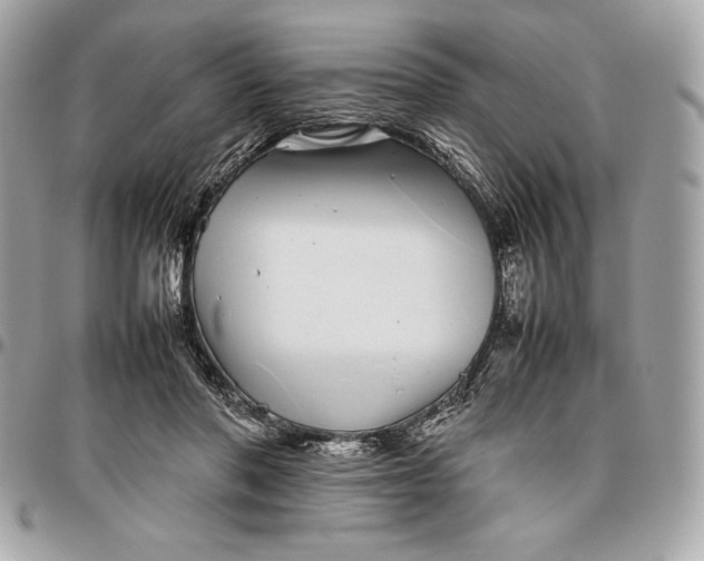 X0000096420406200802071707