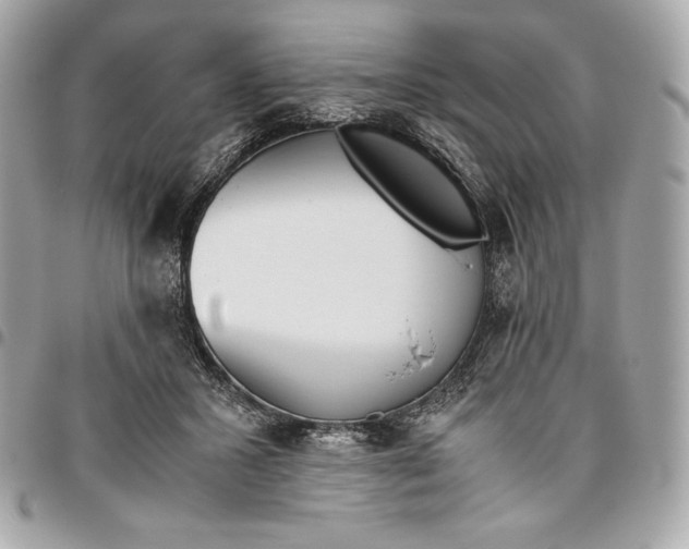 X0000096420407200802071707