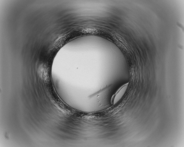 X0000096420408200802071707