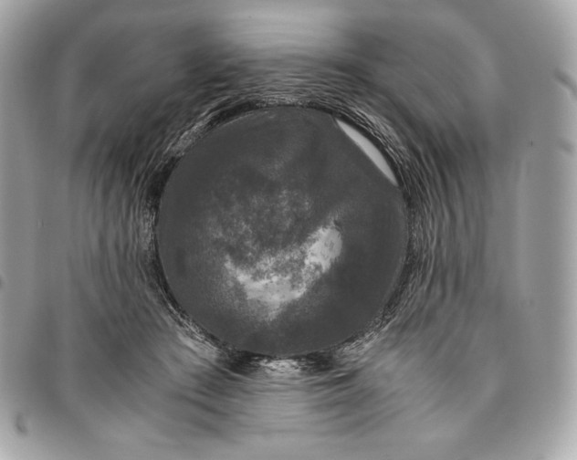 X0000096420409200802071707