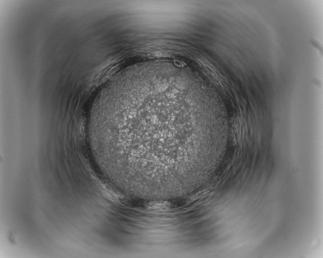 X0000096420410200802071707